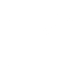 Dragon Tao Kung Fu Logo