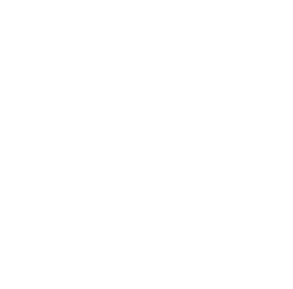 Dragon Tao Wing Chun Kung Fu Northern Beaches – Martial Arts Mona Vale and Dee Why Sydney